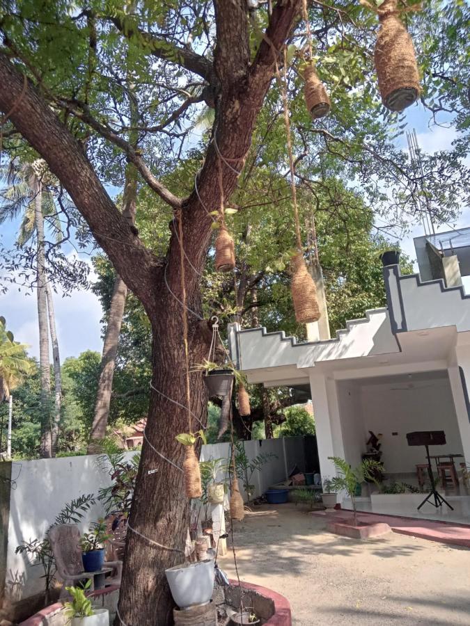 Green Star Villa Jaffna Ruang foto